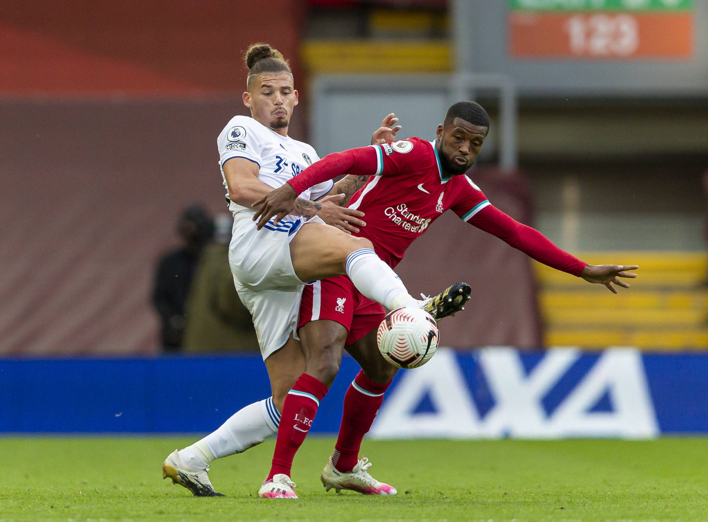 他总是寻找 他总是寻找